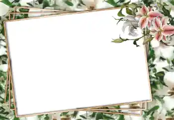 Foto-effetti della categoria Cornici da donna № 94751