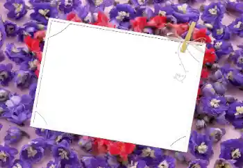 Foto-effetti della categoria Cornici da donna № 9481