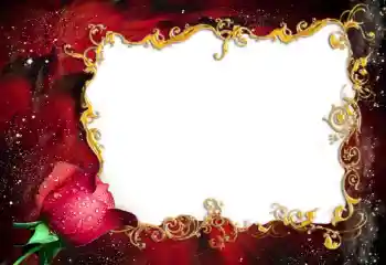 Foto-effetti della categoria Cornici da donna № 94837