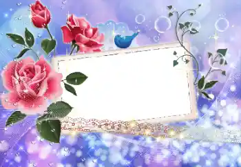 Foto-effetti della categoria Cornici da donna № 9524
