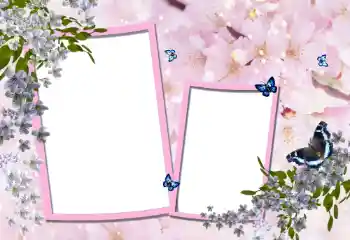 Foto-effetti della categoria Cornici da donna № 95900