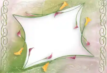 Foto-effetti della categoria Cornici da donna № 96114