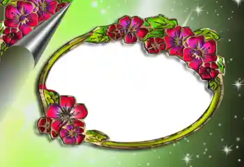 Foto-effetti della categoria Cornici da donna № 96340