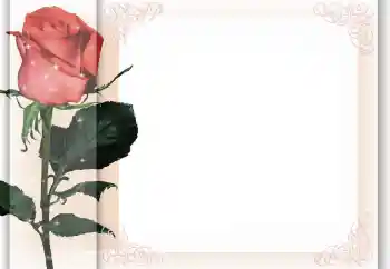 Foto-effetti della categoria Cornici da donna № 96405