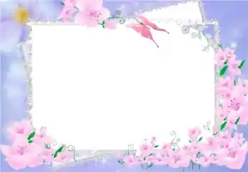 Foto-effetti della categoria Cornici da donna № 9662
