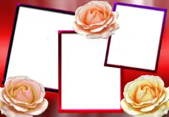 Foto-effetti della categoria Cornici da donna № 9712