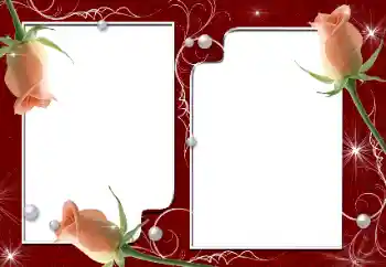 Foto-effetti della categoria Cornici da donna № 9716