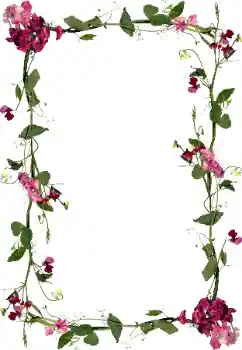 Foto-effetti della categoria Cornici da donna № 97451