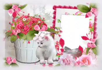 Foto-effetti della categoria Cornici da donna № 97470