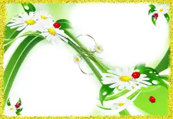 Foto-effetti della categoria Cornici da donna № 97688