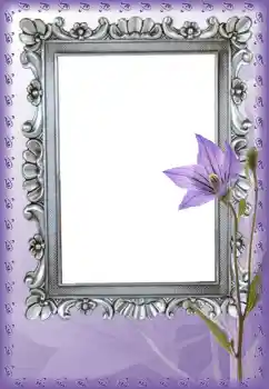 Foto-effetti della categoria Cornici da donna № 9787