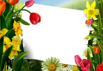 Foto-effetti della categoria Cornici da donna № 9867 Foto-effetti della categoria Cornici da donna № 9867