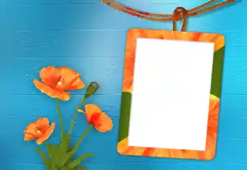 Foto-effetti della categoria Cornici da donna № 98705