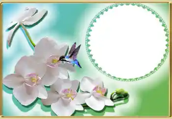 Foto-effetti della categoria Cornici da donna № 99814