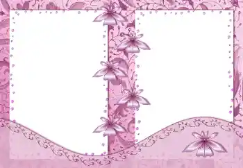 Foto-effetti della categoria Cornici da donna № 99881