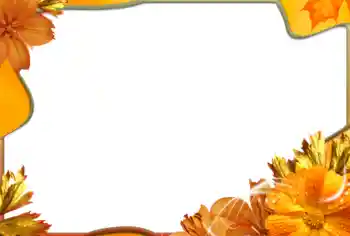 Foto-effetti della categoria Cornici da donna № 99971